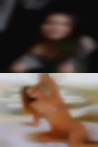 NC love sites swingers for to fuck.