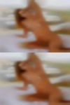 Nice housewife pussy